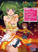 いぬかみっ！VOL.1っ！！ 特別装丁版