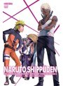 NARUTO-ナルト- 疾風伝 九尾掌握と因果なる邂逅の章 5
