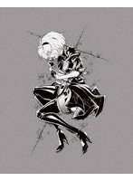 NieR:Automata Ver1.1aの商品画像