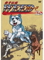 銀牙伝説 WEED 12 のパッケージ
