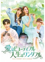 愛はビューティフル、人生はワンダフル DVD-BOX4 のパッケージ
