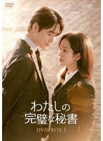 わたしの完璧な秘書 DVD-BOX1