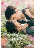 白いオリーブの約束〜明日もきっと、君の隣で〜 DVD-BOX1