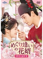 めぐり逢いの花婿 DVD-SET1