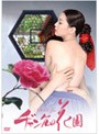 官能女官 ヂャングムの花園 DVD-BOX