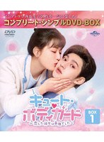 キュート・ボディガード〜恋した彼女は最強でした〜 BOX1 ＜コンプリート・シンプルDVD-BOX5，500円シリーズ＞【期間限定生産】 のパッケージ