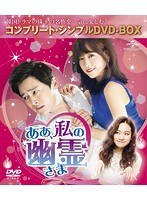 ああ、私の幽霊さま＜コンプリート・シンプルDVD-BOX5，000円シリーズ＞【期間限定生産】 のパッケージ