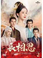 長相思 DVD-SET2 のパッケージ