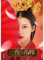 一夜の花嫁〜Pirates of Destiny〜 DVD-BOX1 のパッケージ