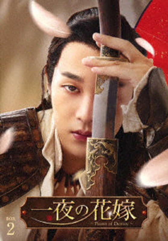 一夜の花嫁～Pirates of Destiny～ DVD-BOX2