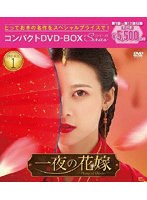 一夜の花嫁〜Pirates of Destiny〜 コンパクトDVD-BOX1［スペシャルプライス版］ のパッケージ