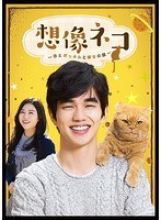 想像ネコ〜僕とポッキルと彼女の話〜 DVD-BOX のパッケージ