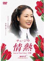 チェ・ジウ主演 情熱 Love in Three Colors-有情- BOX 6 のパッケージ