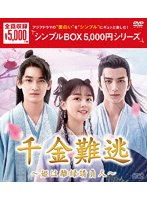 千金難逃〜姫は離縁請負人〜 DVD-BOX ＜シンプルBOX 5，000円シリーズ＞ のパッケージ