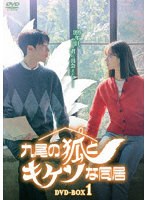 九尾の狐とキケンな同居 DVD-BOX1 のパッケージ
