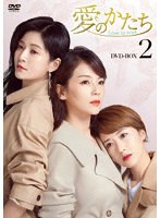 愛のかたち～Love is true～ DVD-BOX2