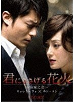 君にささげる花火 DVD-BOX