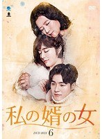 私の婿の女 DVD-BOX6 のパッケージ