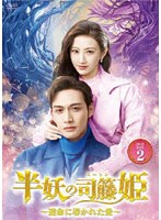 半妖の司籐（スー・トン）姫〜運命に導かれた愛〜DVD-BOX2 のパッケージ