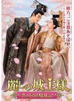 麗しの城主様 DVD-BOX のパッケージ