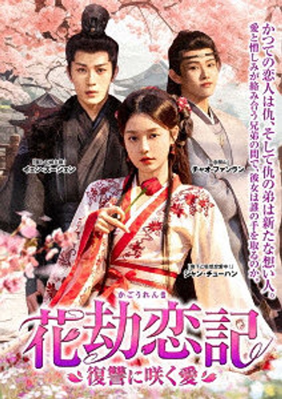 花劫恋記 復讐に咲く愛 4枚組DVD