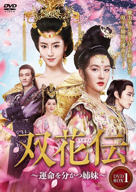 双花伝～運命を分かつ姉妹～ DVD-BOX1