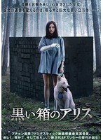 黒い箱のアリス 黒い箱のアリス