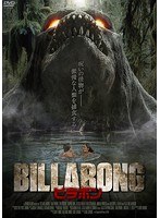 BILLABONG ビラボン のパッケージ