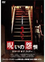 呪いの怨恨 エコーズ・オブ・フィアー のパッケージ