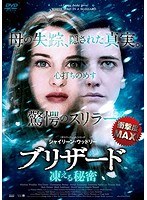 ブリザードのポスター