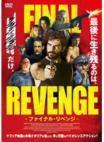 ファイナル・リベンジ のパッケージ
