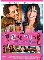 恋するパリのランデヴー のパッケージ