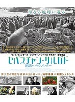 セバスチャン・サルガド 地球へのラブレター （ブルーレイディスク）