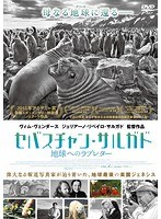 セバスチャン・サルガド 地球へのラブレター