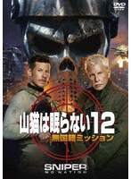 山猫は眠らない12 無国籍ミッション