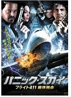 パニック・スカイ フライト441 絶体絶命