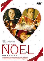 NOEL ノエル 星降る夜の奇跡
