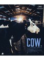 Cow/牛 （ブルーレイディスク）