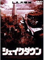 シェイクダウン のパッケージ
