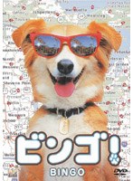 ビンゴ！ のパッケージ