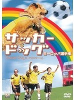 サッカー・ドッグ ヨーロッパ選手権 のパッケージ