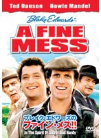 ブレイク・エドワーズのファイン・メス！！ のパッケージ