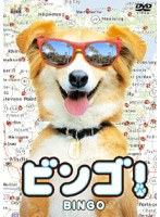 ビンゴ！ のパッケージ