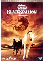 ヤング・ブラック・スタリオン 特別版 のパッケージ