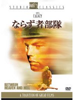 ならず者部隊 のパッケージ