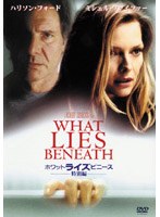 ホワット・ライズ・ビニース 特別編 のパッケージ