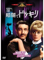 暗闇でドッキリ のパッケージ