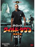 ワイルド・タウン 英雄伝説 特別編 のパッケージ