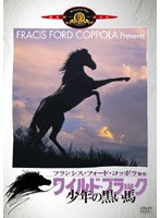 ワイルド・ブラック 少年の黒い馬 のパッケージ