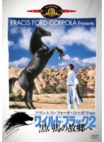 ワイルド・ブラック2 黒い馬の故郷へ のパッケージ